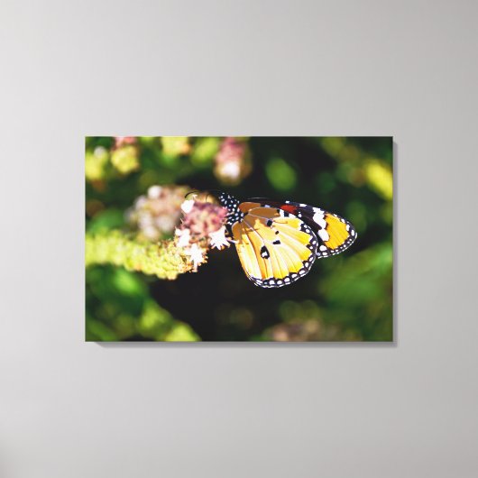 Toile Papillon (Recto)