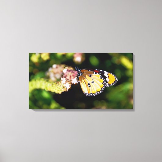 Toile Papillon (Recto)