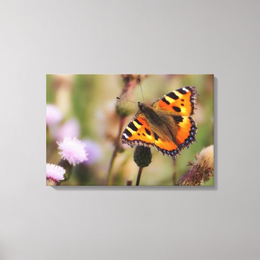 Toile Papillon (Recto)