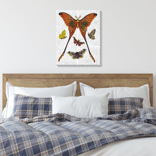 Toile Papillon 2 (Insitu(Chambre))