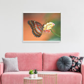 Toile papillon 2 (Insitu(Salon))