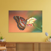 Toile papillon 2 (Insitu(Salon))