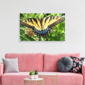 Toile Papillon à queue d'aronde II à Shenandoah (Insitu(Salon))