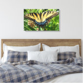 Toile Papillon à queue d'aronde II à Shenandoah (Insitu(Chambre))