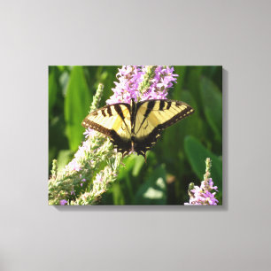 Toile Papillon à queue d'hirondelle sur des fleurs sauva