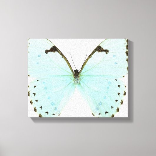 Toile Papillon blanc (Recto)