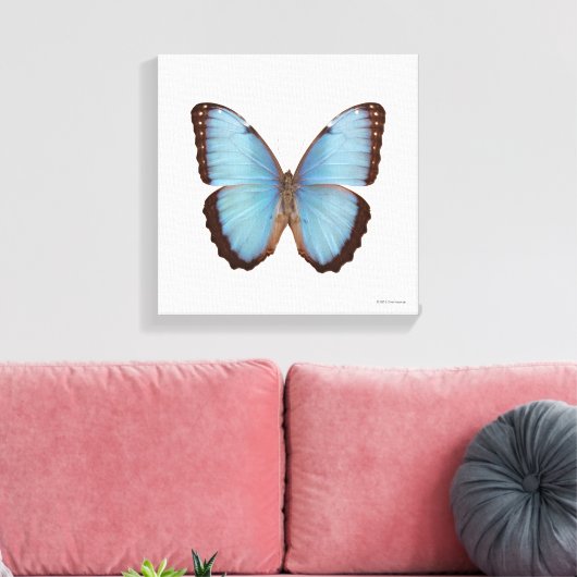 Toile Papillon bleu Morpho (Insitu(Salon))