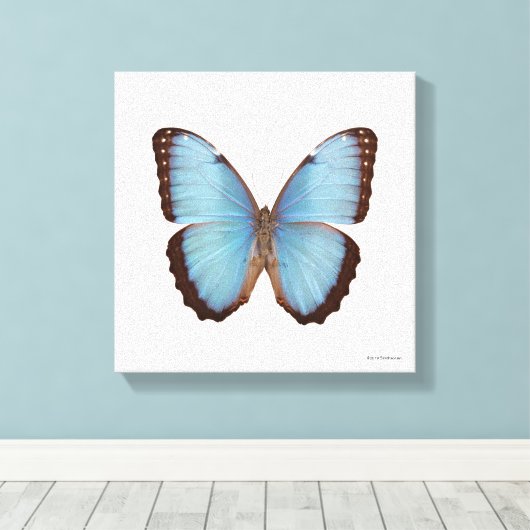 Toile Papillon bleu Morpho (Insitu (Plancher de Bois))