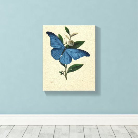 Toile Papillon bleu vintage (Insitu (Plancher de Bois))