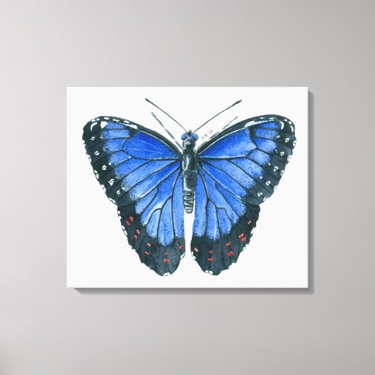 Toile Papillon Blue Morpho peinture à l'aquarelle (Recto)
