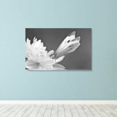 Toile Papillon Chou sur Cosmos en noir et blanc (Insitu (Plancher de Bois))