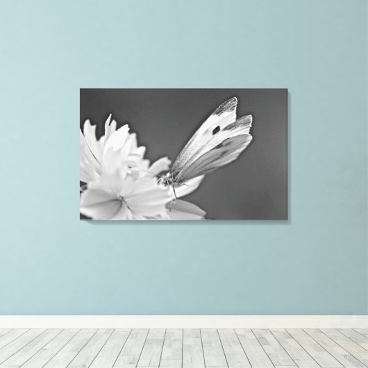 Toile Papillon Chou sur Cosmos en noir et blanc (Insitu (Plancher de Bois))