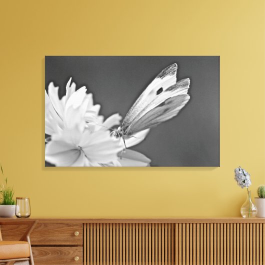 Toile Papillon Chou sur Cosmos en noir et blanc (Insitu(Salon))
