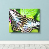 Toile Papillon Clipper Bleu (Insitu (Plancher de Bois))