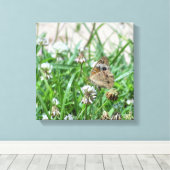 Toile Papillon commun (Insitu (Plancher de Bois))