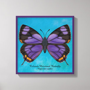 Toile Papillon de Hairstreak du Colorado