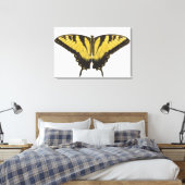Toile Papillon de l'épaisse queue de tigre occidentale (Insitu(Chambre))