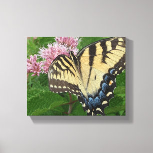 Toile Papillon de machaon de tigre