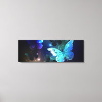 Papillon de nuit