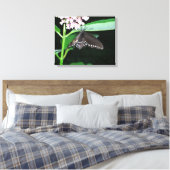 Toile Papillon de nuit Papillon noir à queue fourchue à (Insitu(Chambre))
