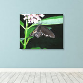 Toile Papillon de nuit Papillon noir à queue fourchue à (Insitu (Plancher de Bois))