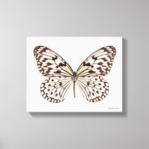 Toile Papillon de tigre de châtaigne