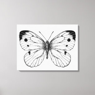 Toile Papillon du chou