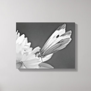 Toile Papillon du chou sur Cosmos en noir et blanc