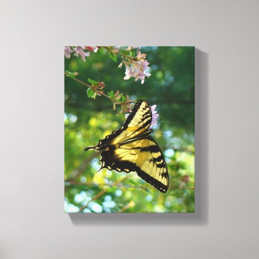 Toile Papillon et ciel (Recto)