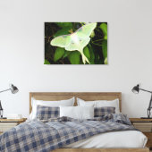 Toile Papillon Luna sur Clématite de Carnaby (Insitu(Chambre))