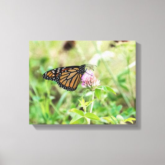 Toile Papillon Monarque (Recto)