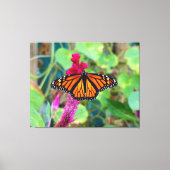 Toile Papillon monarque (Recto)