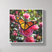 Papillon Monarque coloré affichant ses ailes