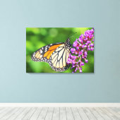 Toile Papillon monarque - Danaus plexippus - Femelle (Insitu (Plancher de Bois))