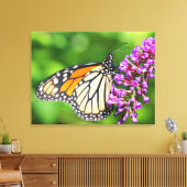 Toile Papillon Monarque - Danaus plexippus - Femme (Insitu(Salon))