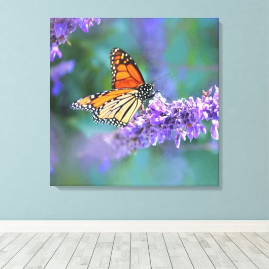 Toile Papillon Monarque sur Fleur violette lilas (Insitu (Plancher de Bois))