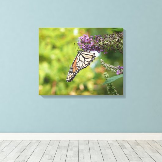 Toile Papillon Monarque sur papillon pourpre Bush (Insitu (Plancher de Bois))