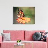 Toile Papillon Monarque sur une fleur d'orange (Insitu(Salon))