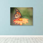 Toile Papillon Monarque sur une fleur d'orange (Insitu (Plancher de Bois))