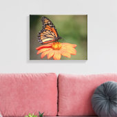 Toile Papillon Monarque sur une fleur d'orange (Insitu(Salon))