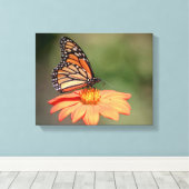Toile Papillon Monarque sur une fleur d'orange (Insitu (Plancher de Bois))