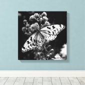 Toile Papillon noir et blanc (Insitu (Plancher de Bois))