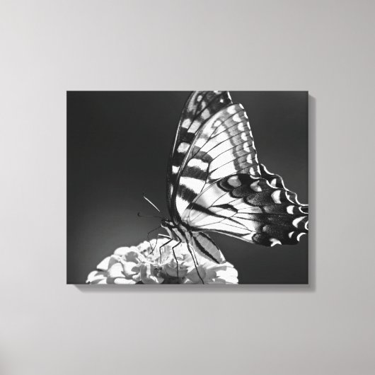 Toile Papillon noir et blanc (Recto)
