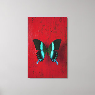Toile Papillon noir et bleu sur le mur rouge