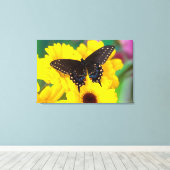 Toile Papillon Papilio polyxenes (Insitu (Plancher de Bois))