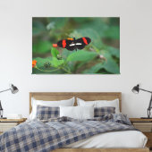 Toile Papillon Postillon (Insitu(Chambre))