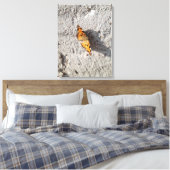 Toile Papillon sous le soleil (Insitu(Chambre))