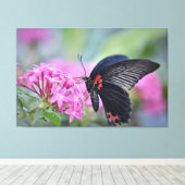 Toile Papillon sur fleur (Insitu (Plancher de Bois))