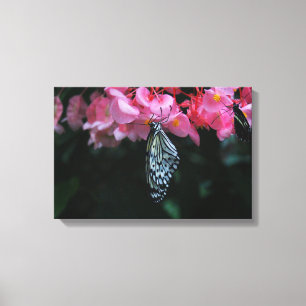 Toile Papillon suspendu aux fleurs