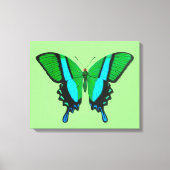 Toile Papillon Swallowtail en vert, turquoise et noir (Recto)